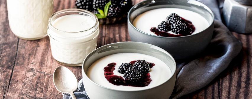 Naturjoghurt mit Brombeeren - selbstgemachter Joghurt